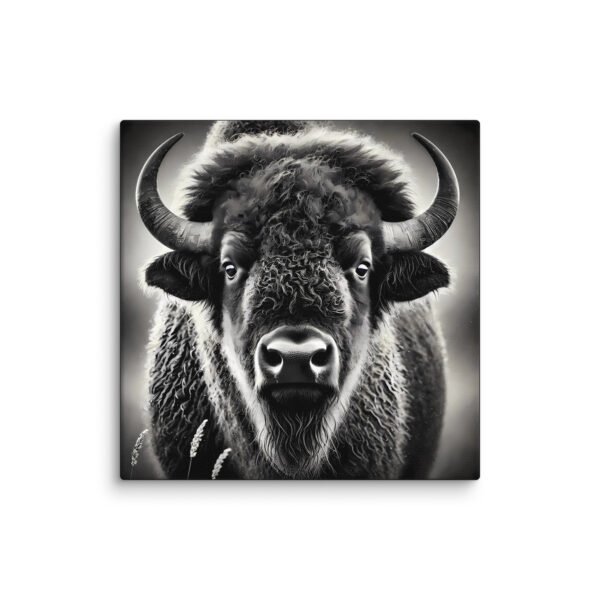 American Buffalo Canvas